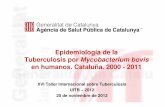 Epidemiología de la Tuberculosis por Mycobacterium … · Tuberculosis per Mycobacterium bovis a Catalunya. 2000 – 2011 Conclusiones Incidencia similar o inferior a la de otros