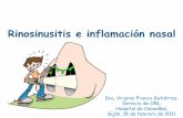 Rinosinusitis e inflamación nasal - cscontruecesvega · INFLAMACIÓN DE LAS FOSAS Y LOS SENOS PARANASALES ... Añadir corticoides tópicos nasales Tratamiento de la rinosinusitis
