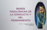 Asignatura: Psicología 2º Bachillerato Prof. Carmen ...balderciencias.weebly.com/uploads/2/2/1/5/22155040/bases_fisiol... · información que proviene de los músculos y de los