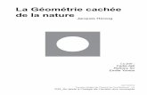 La Géométrie cachée de la nature - Philippe Villienth3.fr/imagesThemes/docs/13_HERZOG_geome_769_trie_cachee_natur… · Jacques HERZOG: Jacques Herzog et Pierre de Meuron créent