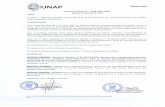 UNAP Rectorado - Universidad Nacional de la …€¦ · runap rectorado directiva n° ol-2016-r-unap normas para elotorgamiento degrados acadÉmicos de prey postgrado, título profesional