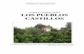 Los Pueblos Castillo Campanar, y Braços de Borbotó y Carpesa, regaban huertas de los términos municipales de Quart de Poblet, Campanar, Benimamet, Burjasot, Godella, Borbotó, Carpesa,