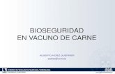 BIOSEGURIDAD EN VACUNO DE CARNE - RACVEracve.es/files/2017/06/BIOSEGURIDAD-Diez-G.pdf · Mayor facilidad en aplicar medidas de bioseguridad Control manejo alimentario, reproductivo