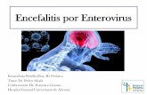 Encefalitis por Enterovirus - serviciopediatria.com³n-R1... · • Causa de mayor morbimortalidad infección por virus herpes simple • Incidencia en descenso con los años: