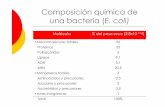 Composición química de una bacteria ( E. coli)depa.fquim.unam.mx/amyd/archivero/U3a... · •Agar eosina azul de metileno (EMB) •Agar XLD •Agar Endo •Agar McConkey. Uso. Medios