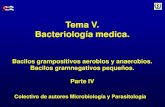 Tema V. Bacteriología medica.uvsfajardo.sld.cu/sites/uvsfajardo.sld.cu/files/v_bacilos_gram... · Cocobacilos gram negativos, aerobios, ... Gardnerella vaginalis. Características