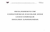 REGLAMENTO DE CONVIVENCIA ESCOLAR 2018 …liceoemg.cl/wp-content/uploads/2018/10/reglamento-convivencia-2018… · DEL JEFE DEL DEPARTAMENTO DE ASIGNATURA ... reglamento de convivencia