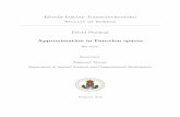 D avid Ferenczi Approximation in Function spacesweb.cs.elte.hu/.../bsc_alkmat/2018/ferenczi_david.pdf · D avid Ferenczi Approximation in Function spaces BSc Thesis Supervisor: Zsigmond