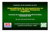 Disponibilidad de micronutrientes en suelos de la Región ... de... · El último relevamiento sistemático de suelos para estimar el estado de los micronutrientes fue realizado por