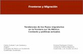 Tendencias de los flujos migratorios en la frontera sur de ...migracionentransito.org/wp-content/documents/seminarios-eventos/... · 10 puntos de internación - 2 con Belice 8 con