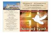 St. Joseph Cathedral January 15, 2017 Saint Joseph Cathedral · St. Joseph Cathedral January 15, 2017 ... Welcome to St. Joseph Cathedral Bienvenidos a la Catedral de San Jose We