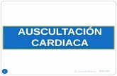 AUSCULTACIÓN CARDIACA - Bio edu ciencia – … · y pulmonar). 20/02/2013 Dr. Carlos E Nieto G. 13 AREAS O FOCOS DE AUSCULTACIÓN CARDIACA 1. Foco Mitral ó apexiano: corresponde