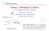 Tema 2. Biología Celular - dpbiologia.weebly.comdpbiologia.weebly.com/uploads/2/1/5/5/21553524/gtp_t2.biología... · evolucionado a partir de un mismo ancestro común. ... pero