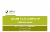 CLIMATE CHANGE ADAPTATION NAP-URUGUAYnapexpo.org/workshops/lac/wp-content/uploads/2017/09/TALLER-SJC… · CLIMATE CHANGE ADAPTATION NAP-URUGUAY . ... Fourth National Communication