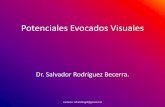 Potenciales Evocados Visuales - Welcome to … EVOCADOS... · esto alterará luminosidad en la retina. •Luminosidad no es una de las variables más importantes, pero debe mantenerse