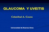 3 Glaucoma y uveitis - glaucomasampaolesi.comglaucomasampaolesi.com/files/clases-online/dig/dia3/3 Glaucoma y... · secundarias escleritis posterior efusion uveal couto universidad