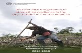 Disaster Risk Programme to strengthen resilience … · 2 Disaster Risk Programme to strengthen resilience in the Dry Corridor in Central America Risk is defined as the combination