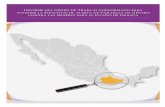 INFORME DEL GRUPO DE TRABAJO … · 1 informe del grupo de trabajo conformado para atender la solicitud avgm/04/2017 de alerta de violencia de gÉnero contra las mujeres en el estado