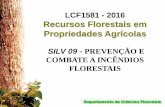 2016 Recursos Florestais em Propriedades Agrícolas …esalqlastrop.com.br/img/aulas/Combate a incendios.pdf · LCF1581 - 2016 Recursos Florestais em Propriedades Agrícolas SILV