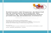 Estimación del Impacto Ambiental de la salmuera ...dspace.umh.es/bitstream/11000/3586/1/TFG Berná Sigüenza, Laura.pdf · Estimación del Impacto Ambiental de la salmuera procedente