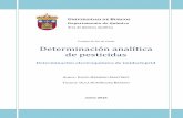 Determinación analítica de pesticidas - riubu.ubu.esriubu.ubu.es/bitstream/10259/3766/1/Herrero_Martínez.pdf · OLGA DOMÍNGUEZ RENEDO informa de que el alumno D. DAVID HERRERO