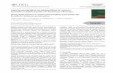 Aspectos petrográficos do metamorfismo de …repositorio.lneg.pt/bitstream/10400.9/2343/1/T100_p89.pdf · 90 I. Ribeiro da Costa et al. / Comunicações Geológicas (2013) 100, 1,
