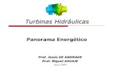 Turbinas Hidráulicas - Compilación de guias de la USB ... · Prof. Jesús DE ANDRADE Prof. Miguel ASUAJE Junio 2009 Panorama Energético Turbinas Hidráulicas. ... Reservas Probadas?