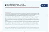 Ecocardiografía en la Enfermedad de Chagas 36media.axon.es/pdf/78917_2.pdf · de un estudio longitudinal, fue estimado en dos veces el riesgo de muerte de un individuo chagásico