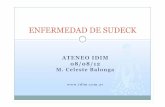 Balonga-ENFERMEDAD DE SUDECK - IDIM - Instituto …idim.com.ar/blog/wp-content/uploads/2012/08/Balonga... · 2012-08-22 · Atrofia/distrofia de Sudeck(1900) Distrofia simpática