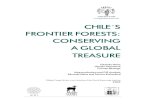 CHILE´S FRONTIER …pdf.wri.org/gfw_chile_full.pdf · 4 CHILE’S FRONTIER FORESTS: CONSERVING A GLOBAL TREASURE LIST OF MAPS Map 1 Frontier forests, other vegetative cover, protected