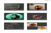 Doenças e cirurgias dos anexos oculares - vetweb.com.brvetweb.com.br/newgaleria/gallery/admin/rest/arquivos_agenda/2... · Rosa bengala Lissamina green ...