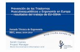 Jornada Técnica de Ergonomía BEC, Bilbao, 28.04 · 2010-05-11 · la introducción de legislación. o La adopción de la proposición posterior de la ... • Se configura electrónicamente