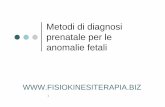 Metodi di diagnosi prenatale per le anomalie fetalifisiokinesiterapia-news.it/NewDownload/fetali.pdf · ↑Trisomia 21 ↑Trisomia 18 ↑Trisomia 13 xxx/xxy/xyy 45x Triploidia Età