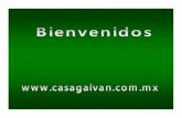 Catalogo Productos General - CASA GALVÁN Productos... · AUDITIVOS, BABEROS, ZAPATOS, BOTAS, MÆCARILLAS, GUANTES, ARNES, CUBRE POLVO, ETC. CASCO so-48 ARNES SENCILLO SIOS ESCAFANDRA