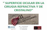 Dr. C. PALOMINO Dr.A.CASTILLO D. CARMONAsogalicia.com/wp-content/uploads/2014/07/LATOJASUPRADEFINITIVA2014.pdf · lagrima normal . las cÉlulas epiteliales de la superficie ocular