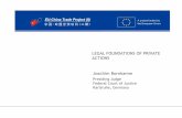 LEGAL FOUNDATIONS OF PRIVATE ACTIONS Joachim Bornkamm Bornkamm... · Bornkamm, Legal Foundations of Private Enforcement 23 May 2013 2 Overview Policy Considerations Development of