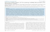 Genome-Wide Maps of Circulating miRNA Biomarkers for ... fileGenome-Wide Maps of Circulating miRNA Biomarkers for Ulcerative ... between hsa-miR-941 and a UC ... of Circulating miRNA