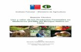 Uso y valor de los Productos Forestales no Madereros (PFNM ... · RESUMEN Los productos forestales no madereros (PFNM) en Chile son definidos como: “bienes de origen biológico,