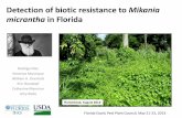 Detection of biotic resistance to Mikania micrantha … of biotic resistance to Mikania micrantha in Florida Rodrigo Diaz Veronica Manrique William A. Overholt Erin Rosskopf Catherine