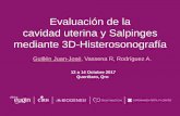Evaluación de la cavidad uterina y Salpinges mediante 3D-Histerosonografía · mediante 3D-Histerosonografía Guillén Juan-José, Vassena R, Rodríguez A. 12 a 14 Octubre 2017 Querétaro,