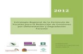 Estrategia Regional de la Península de Yucatán para la ...semarnatcam.campeche.gob.mx/wp-content/uploads/2016/03/EPYREDDF.pdf · Mapa de uso Actual Ejido Ley de Fomento Agropecuario