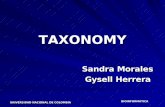 TAXONOMY - EMBnet Colombia - Centro de Bioinformática del ...bioinf.ibun.unal.edu.co/cbib/estudiantes/1-07/expoEst/taxonomy.pdf · por taxones agrupados en categorías taxonómicas