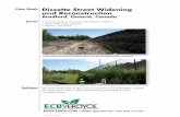 Dissette Street Widening and Reconstruction · MaccaferriÕs Green Terramesh was chosen for the structural component and combined with VerdyolÕs Biotic Earth to promote sustainable,