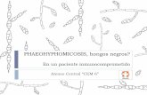 PHAEOHYPHOMICOSIS, hongos negros? - apelizalde.org 26 - CEM 6.pdf · `TAC de control : tórax y cerebro (20 días de tratamiento antifúngico) `Biopsia estereotáxica diagnóstica