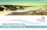 Sabina Gold & Silver Corp. A Gold Miner in the Making · Sabina undertakes no obligation to update the forward looking information should management’s beliefs, estimates or opinions,