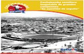 Cochabamba semillero inagotable de grandes campeones “Es ... fileaños se destacaron a nivel nacional e internacional en ... hicieron historia ARCHIVO ... baloncesto en el país,