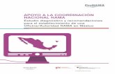 Mexicano- - climate.blueclimate.blue/download/biblioteca_pronama/apoyo_coordinación... · 3.3.2 Guías y planillas ... de estudios y definición de metodologías para el desarrollo