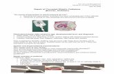 Repair of Tunneled Silastic Catheters (Broviac, Hickman) · 2018-04-29 · (Broviac, Hickman) “An ounce of prevention is worth a pound of cure” • Dressing and securement to