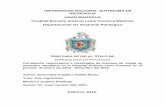 UNIVERSIDAD NACIONAL AUTONOMA DE NICARAGUA …repositorio.unan.edu.ni/1534/1/47023.pdf · desde anomalías congénitas hasta neoplasias de alto potencial maligno. ... detectarse una