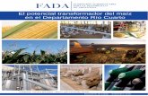 Informe FADA - El potencial transformador del maiz · ganado vacuno, la elaboración de etanol, la alimenta-ción del rodeo de vacas lecheras, la molienda seca o húmeda, o la exportación.